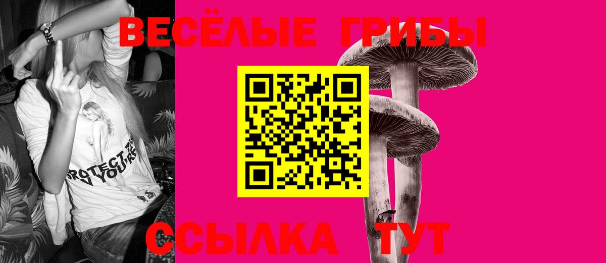 Галлюциногенные грибы Magic Shrooms  наркота  Мичуринск  Псилоцибиновые грибы GOLDEN TEACHER  Вход с VPN 